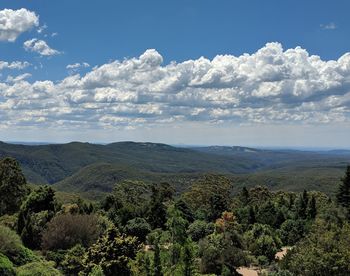 Scenic view of forest against sky