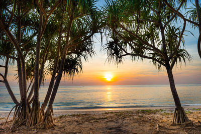 Scenic view of sea during sunset