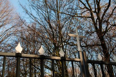 Low angle view of bird perching on bare tree against sky