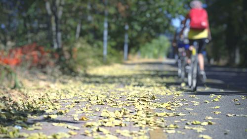 Person riding bicycle on road in city during autumn