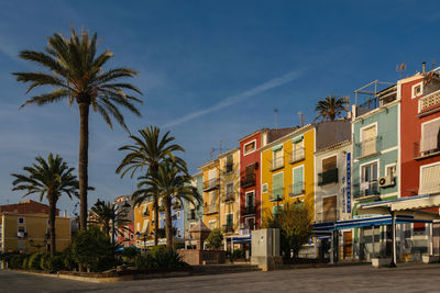 Palm trees and buildings against sky