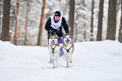 View of a dog on snow covered land