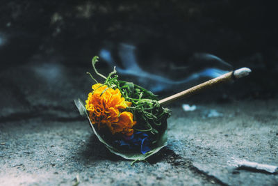 Close-up of yellow flowers on table