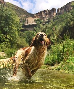 Close-up of water against sky