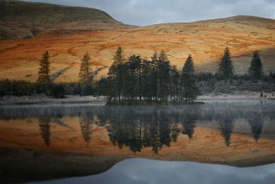 Reflection of trees in lake against sky