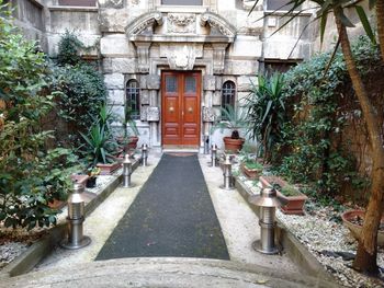 Potted plants outside building