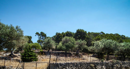 Trees on landscape against clear blue sky