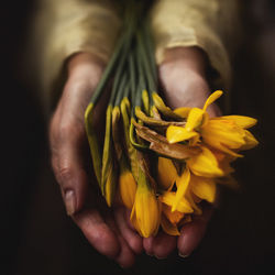 Close-up of hand holding yellow flower