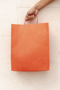 Cropped hand of woman holding shopping bag