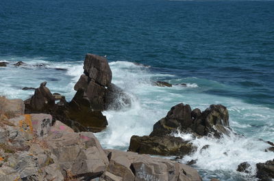 Waves splashing on rocks at shore