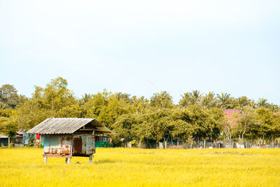 Scenic view of field against clear sky