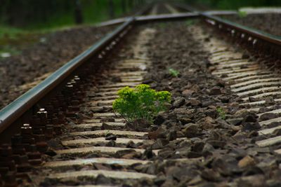 Surface level of railroad track