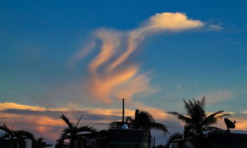 Low angle view of silhouette palm trees against sky