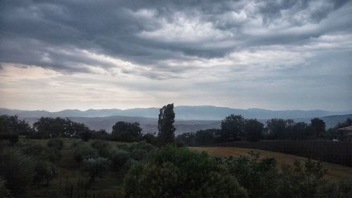 Scenic view of field against sky during sunset
