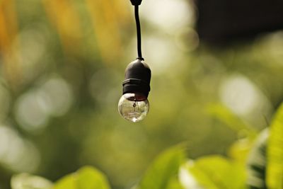 Close-up of water drop on light bulb