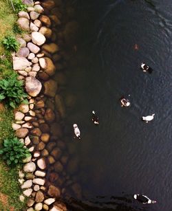 Close-up of pebbles in water