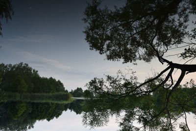 Low angle view of trees in lake against sky