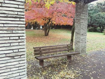 Close-up of empty bench in park during autumn