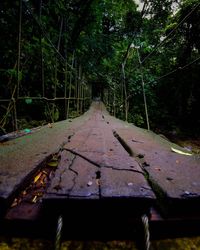 Surface level of empty road in forest