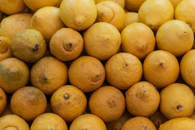 Full frame shot of oranges