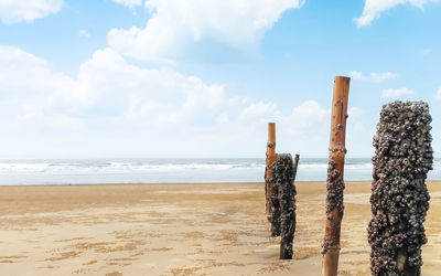 Wooden posts on beach against sky