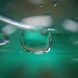 Close-up of water drop