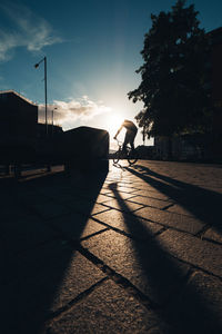 Silhouette of person riding bicycle on street in city at sunset