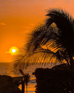 Silhouette palm tree by sea against romantic sky at sunset