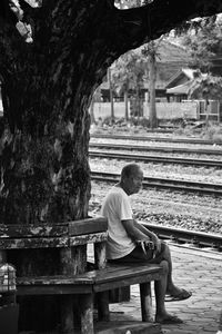 Man sitting on bench against trees