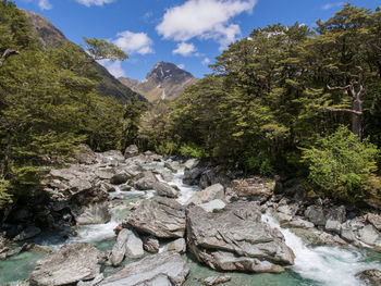 Rocks and trees on rock formation against sky