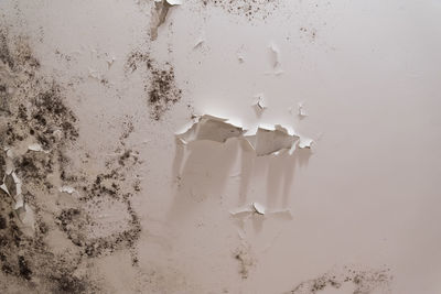 Close-up of broken glass on wall