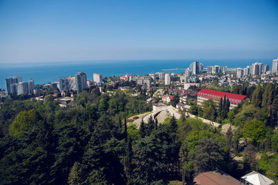 View from the cable car in sochi on the arboretum