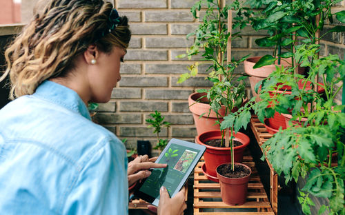 Woman scanning plants by artificial intelligence for tips on caring her urban garden on terrace