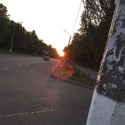 Sun shining through trees