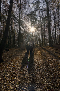 Rear view of couple walking in forest