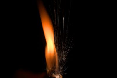 Close-up of firework display against black background