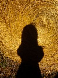 Shadow of woman on field