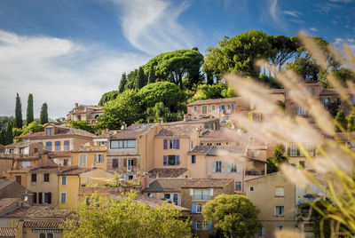 Trees and buildings against sky