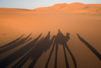 Scenic view of desert