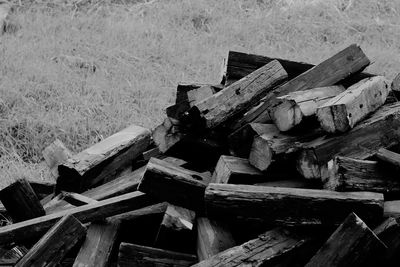 Stack of logs in forest