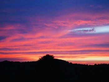 Silhouette trees against sky during sunset