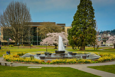 Fountain in park against sky