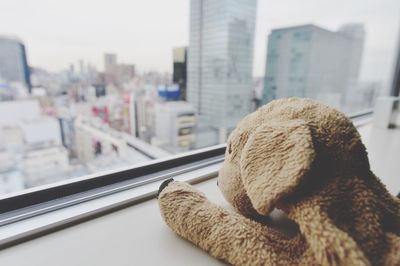 Close-up of soft toy by window