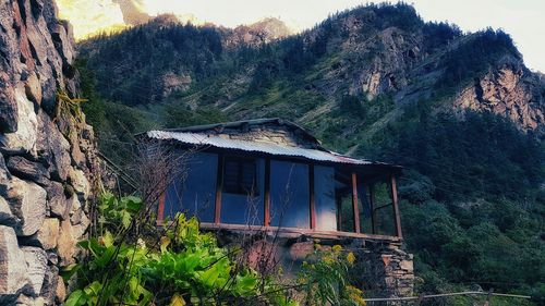 Abandoned house in forest