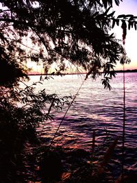 Silhouette tree by lake against sky during sunset