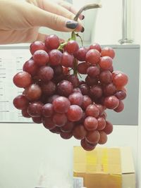 Close-up of hand holding grapes hanging