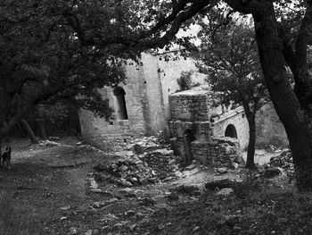 Trees in front of built structure