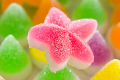 Close-up of colorful candies