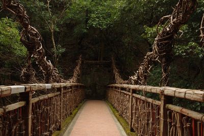 Footbridge amidst trees