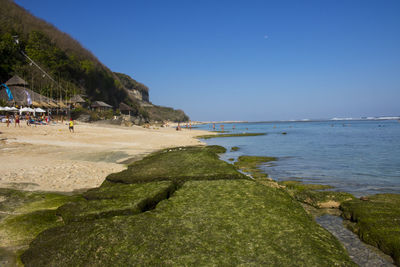 Scenic view of beach against clear blue sky